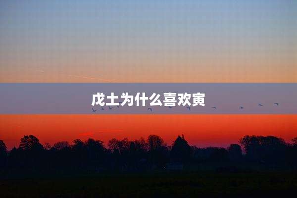 戊土为什么喜欢寅