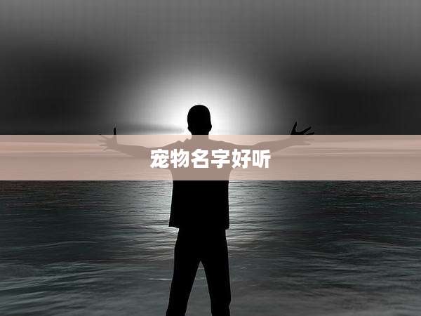 宠物名字好听