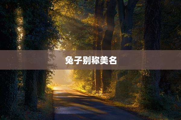 兔子别称美名