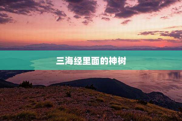 三海经里面的神树