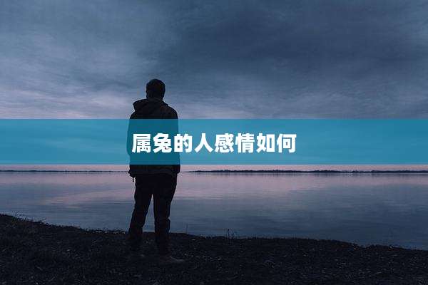 属兔的人感情如何
