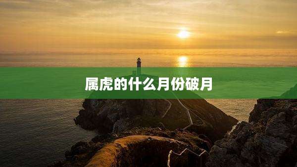 属虎的什么月份破月