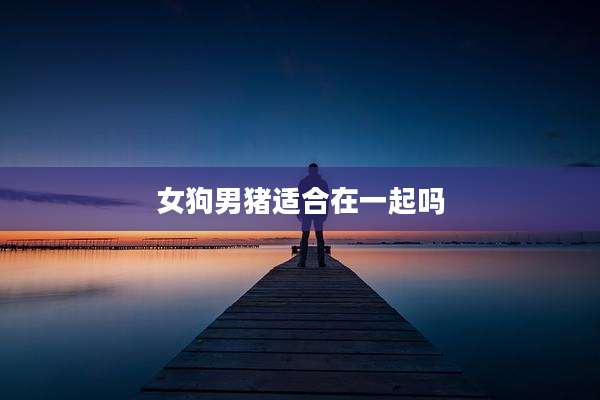 女狗男猪适合在一起吗