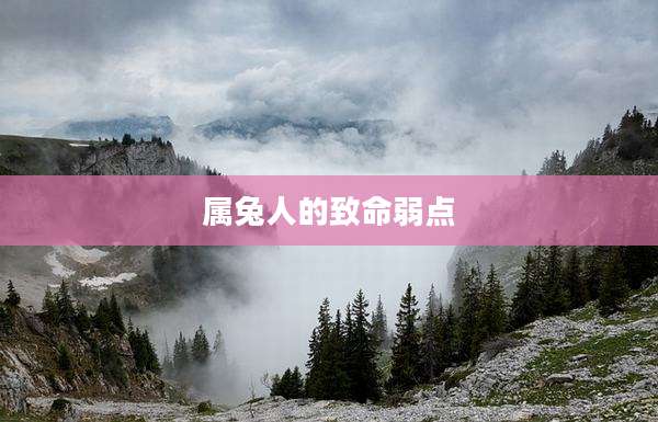 属兔人的致命弱点