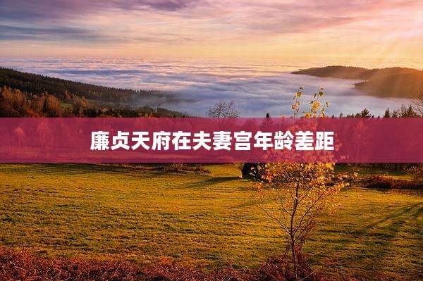 廉贞天府在夫妻宫年龄差距