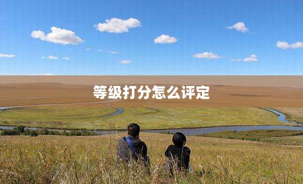 等级打分怎么评定