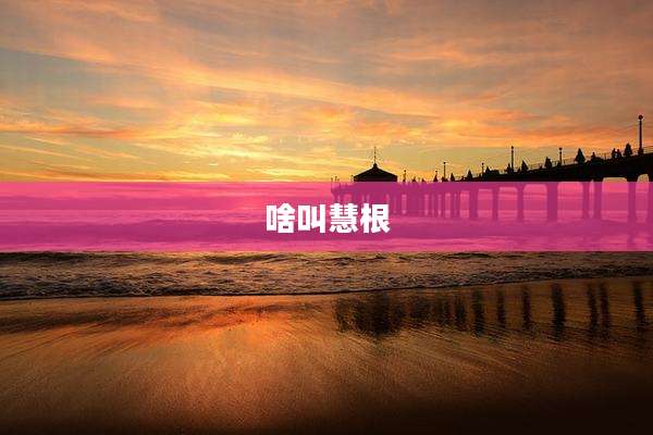 啥叫慧根