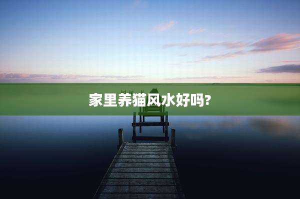 家里养猫风水好吗?