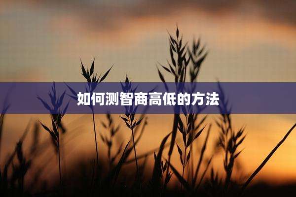 如何测智商高低的方法