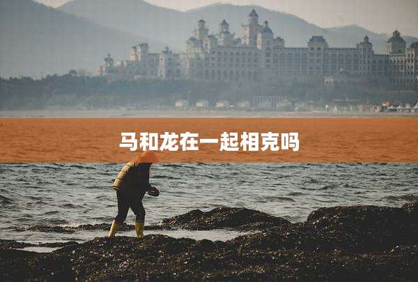 马和龙在一起相克吗