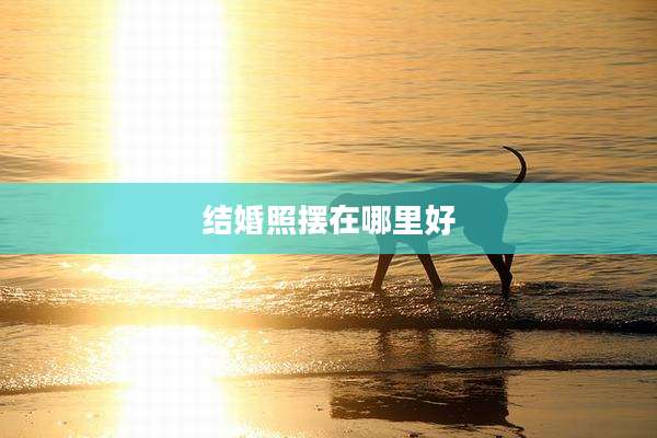 结婚照摆在哪里好