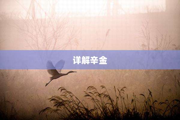 详解辛金