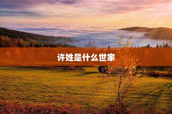 许姓是什么世家