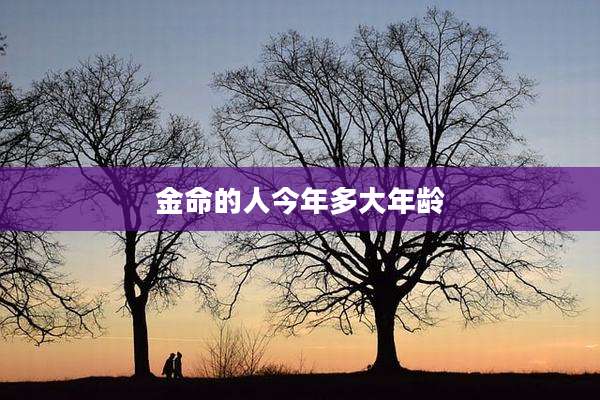 金命的人今年多大年龄