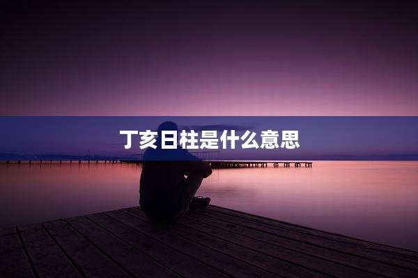 丁亥日柱是什么意思