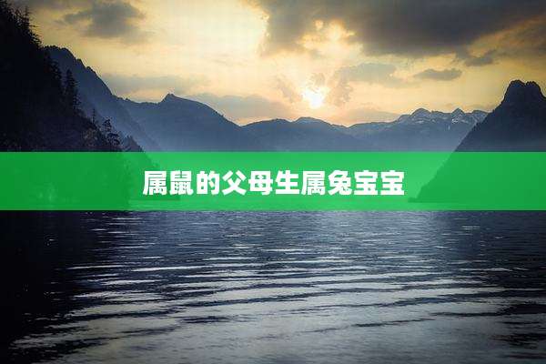 属鼠的父母生属兔宝宝