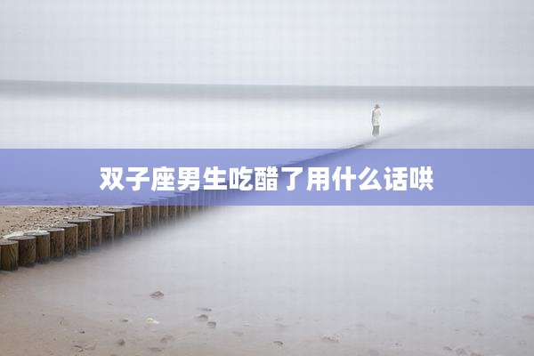 双子座男生吃醋了用什么话哄