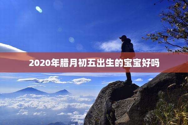 2020年腊月初五出生的宝宝好吗