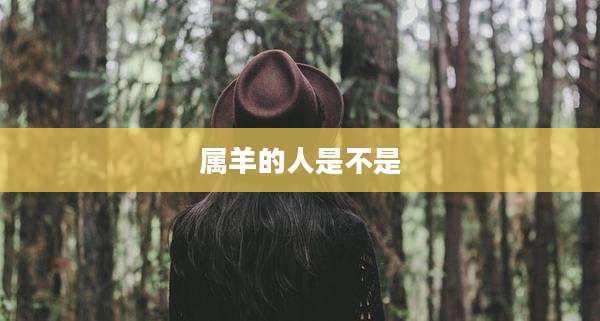 属羊的人是不是