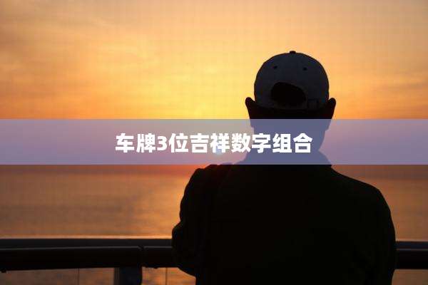 车牌3位吉祥数字组合