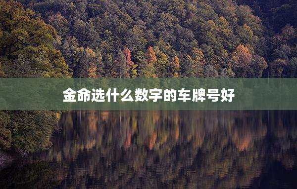 金命选什么数字的车牌号好