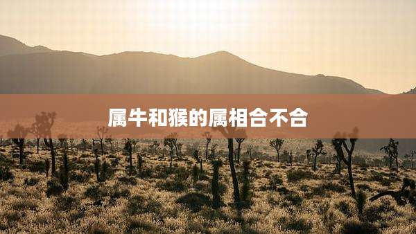 属牛和猴的属相合不合