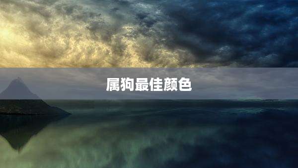 属狗最佳颜色