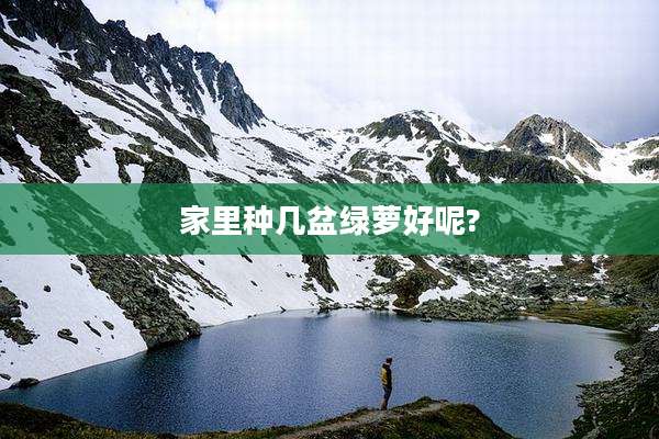 家里种几盆绿萝好呢?