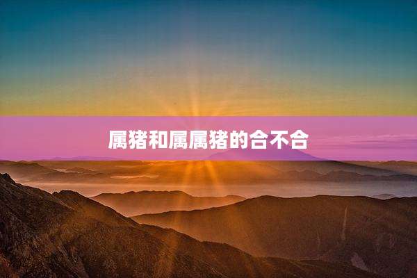 属猪和属属猪的合不合