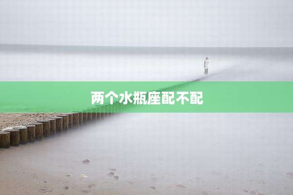 两个水瓶座配不配