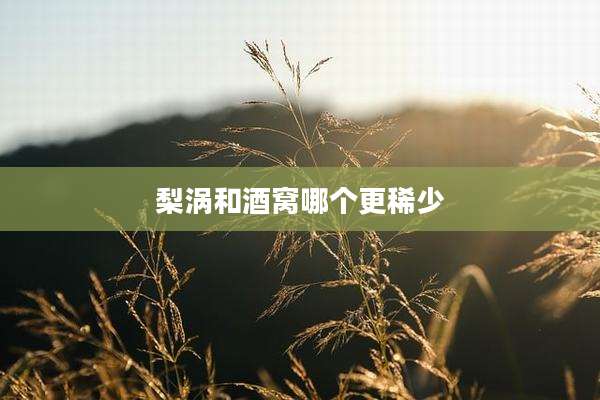 梨涡和酒窝哪个更稀少