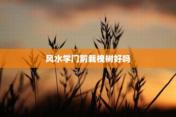风水学门前栽槐树好吗