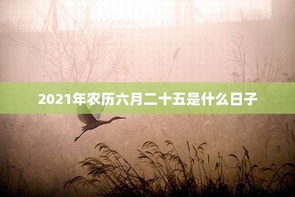 2021年农历六月二十五是什么日子