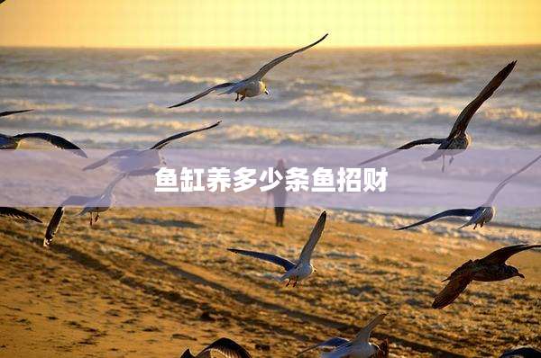 鱼缸养多少条鱼招财