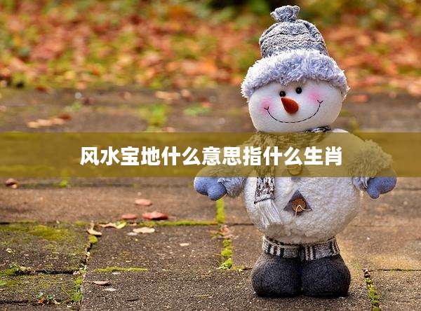 风水宝地什么意思指什么生肖