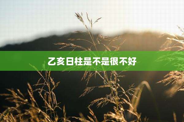 乙亥日柱是不是很不好