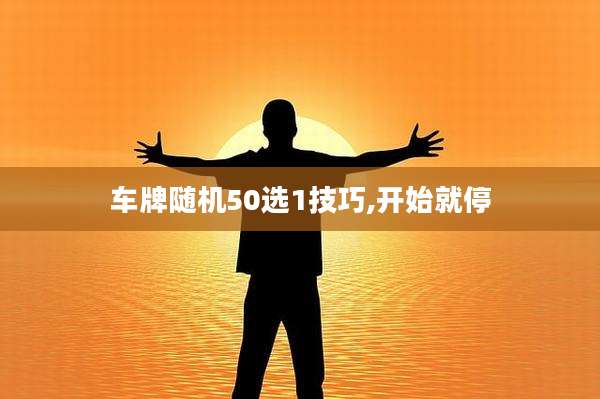 车牌随机50选1技巧,开始就停