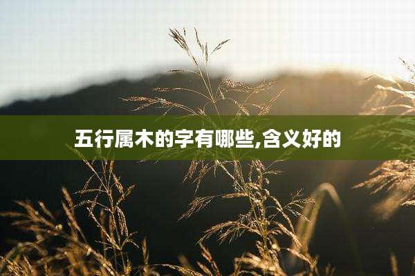 五行属木的字有哪些,含义好的