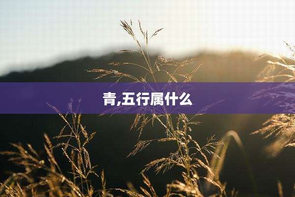 青,五行属什么