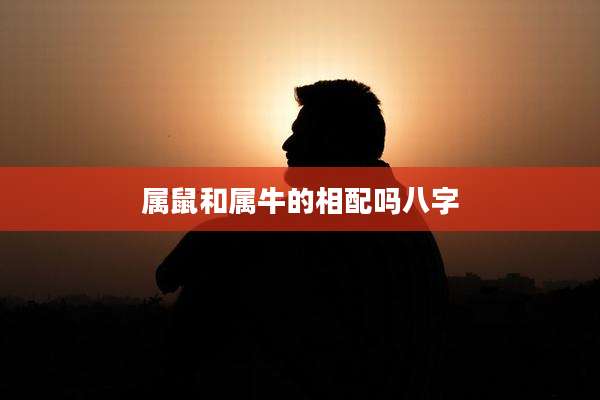 属鼠和属牛的相配吗八字