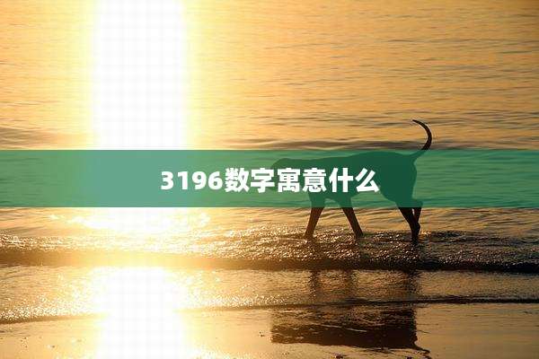 3196数字寓意什么