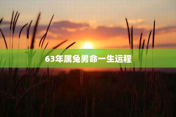 63年属兔男命一生运程