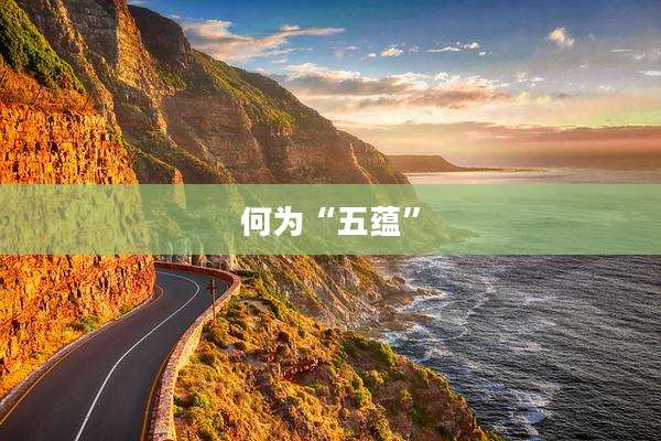 何为“五蕴”