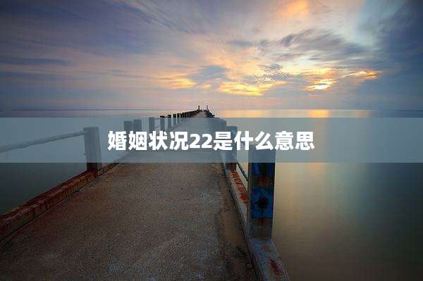 婚姻状况22是什么意思