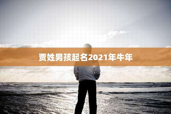 贾姓男孩起名2021年牛年