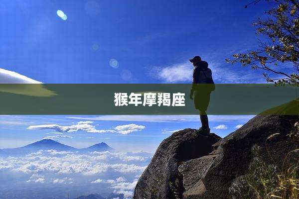 猴年摩羯座