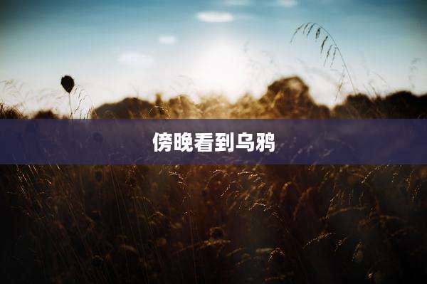 傍晚看到乌鸦