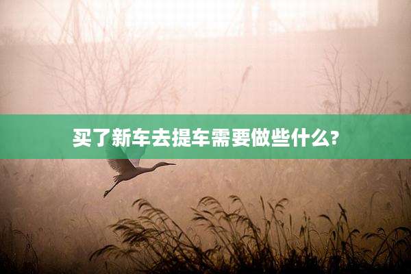 买了新车去提车需要做些什么?