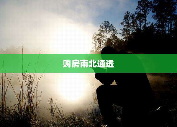 购房南北通透