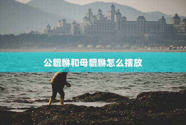 公貔貅和母貔貅怎么摆放